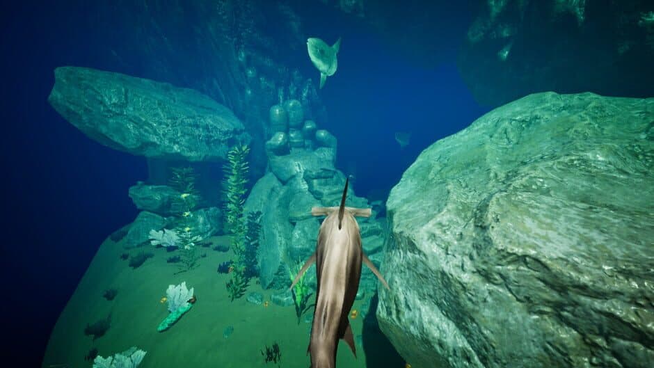 Ekran görüntüsü 12