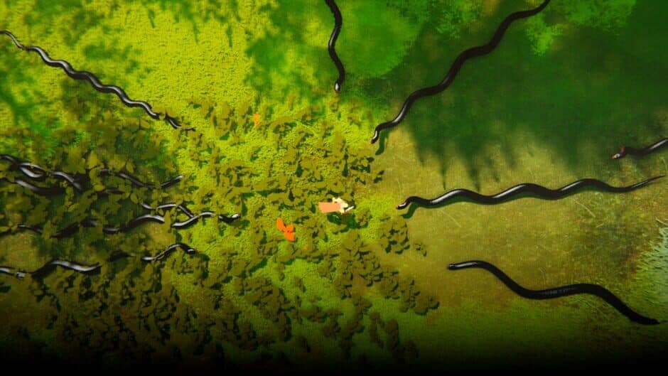 Ekran görüntüsü 2