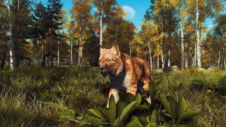 Ekran görüntüsü 17