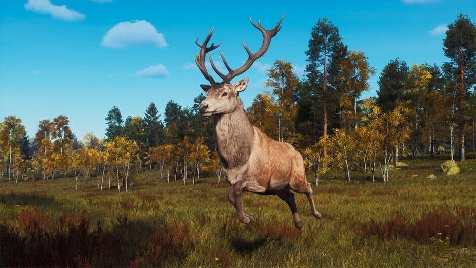 Ekran görüntüsü 6