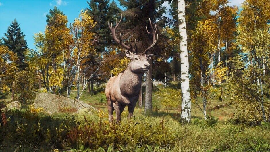 Ekran görüntüsü 10