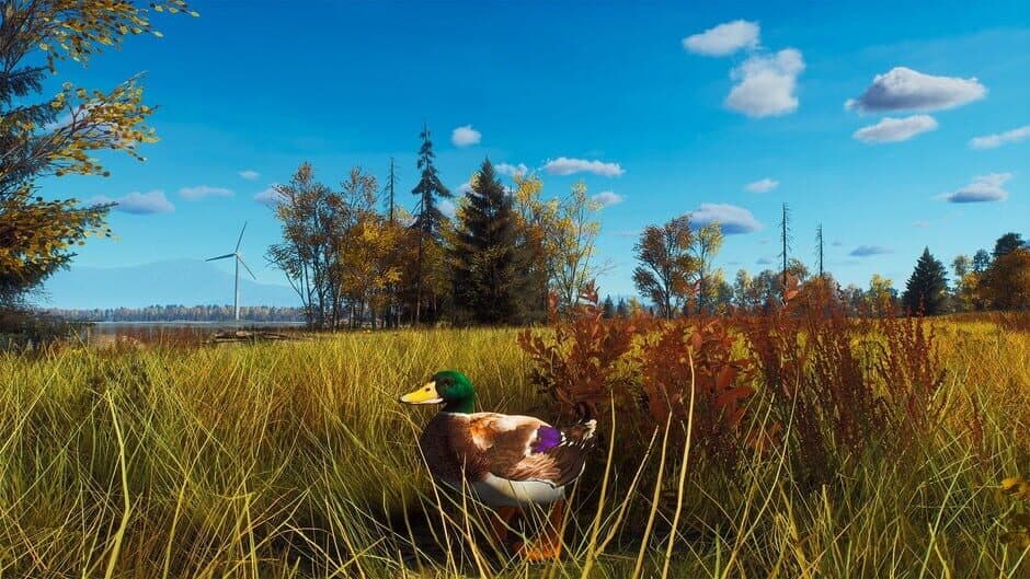 Ekran görüntüsü 12