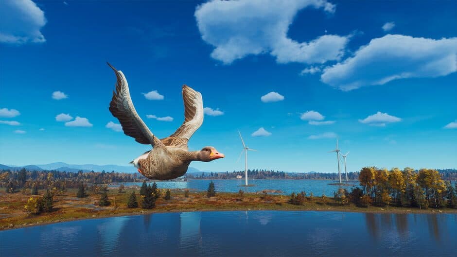 Ekran görüntüsü 1