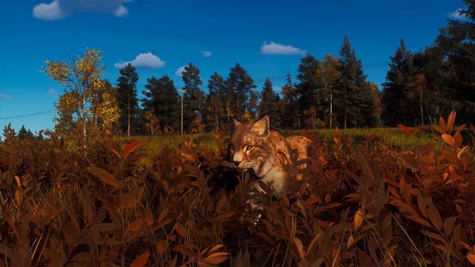 Ekran görüntüsü 5