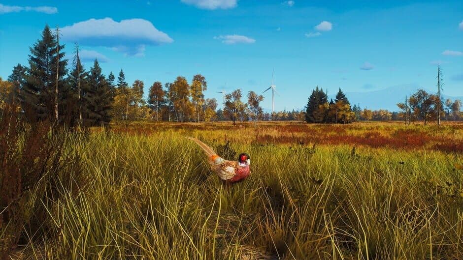 Ekran görüntüsü 19