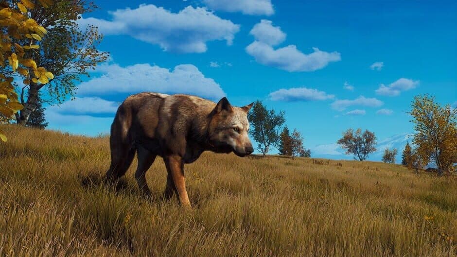 Ekran görüntüsü 15