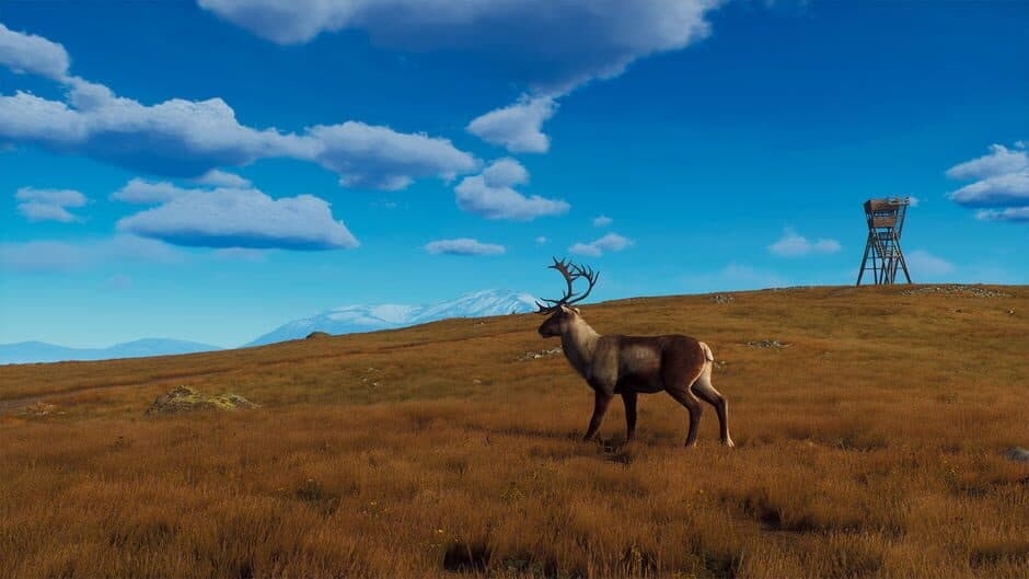 Ekran görüntüsü 18