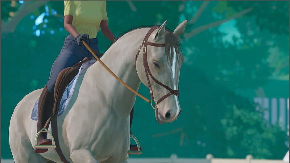 Ekran görüntüsü 12