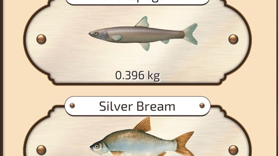 Ekran görüntüsü 4