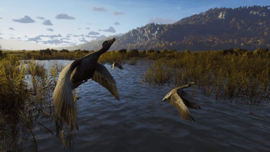 Ekran görüntüsü 13