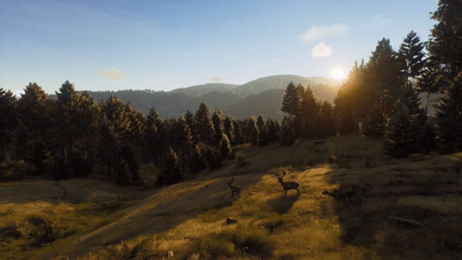 Ekran görüntüsü 11