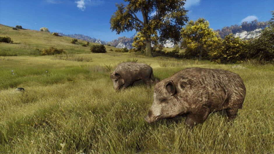 Ekran görüntüsü 8