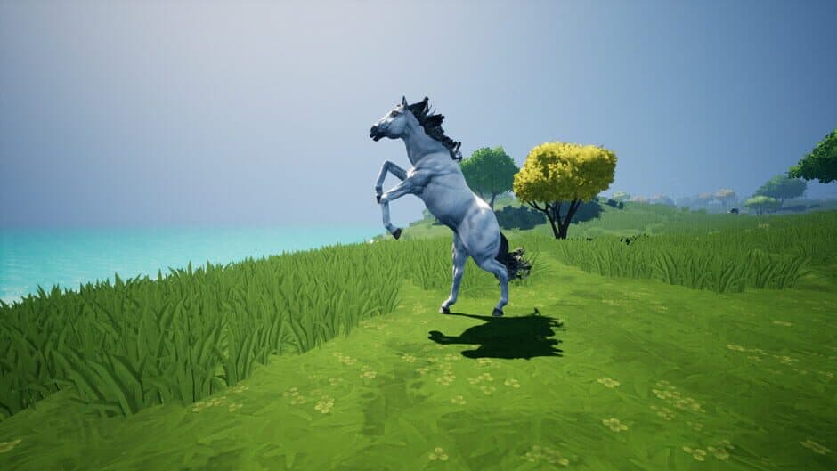 Ekran görüntüsü 19