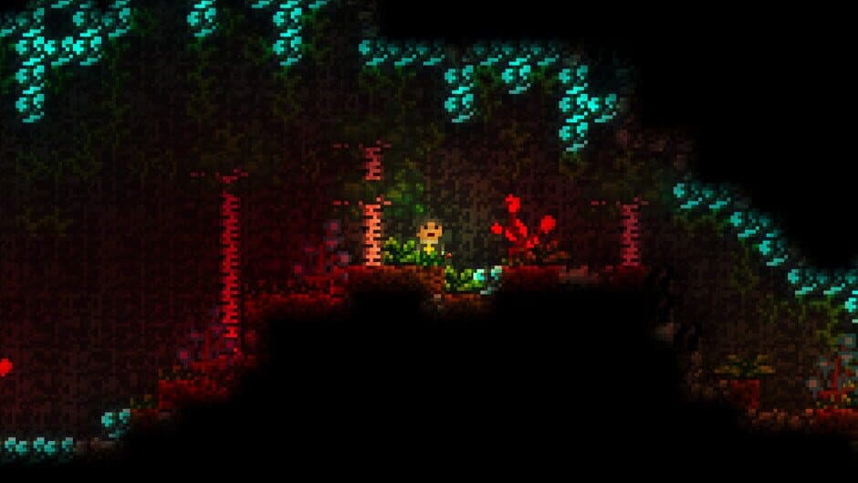 Ekran görüntüsü 3