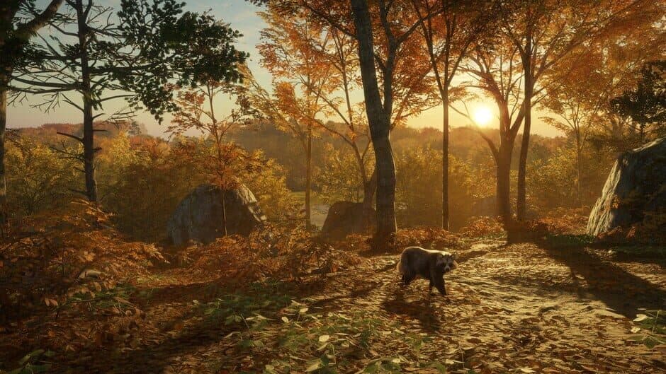 Ekran görüntüsü 8