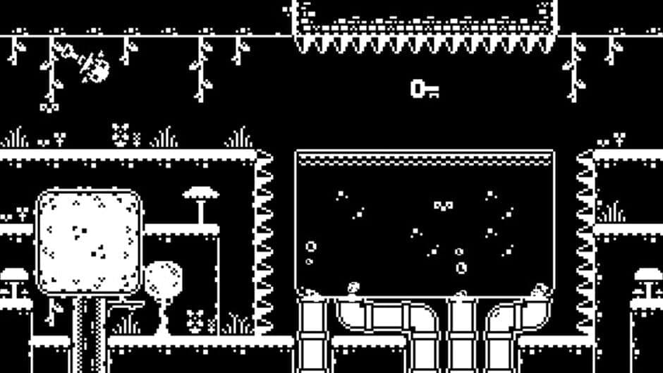 Ekran görüntüsü 5