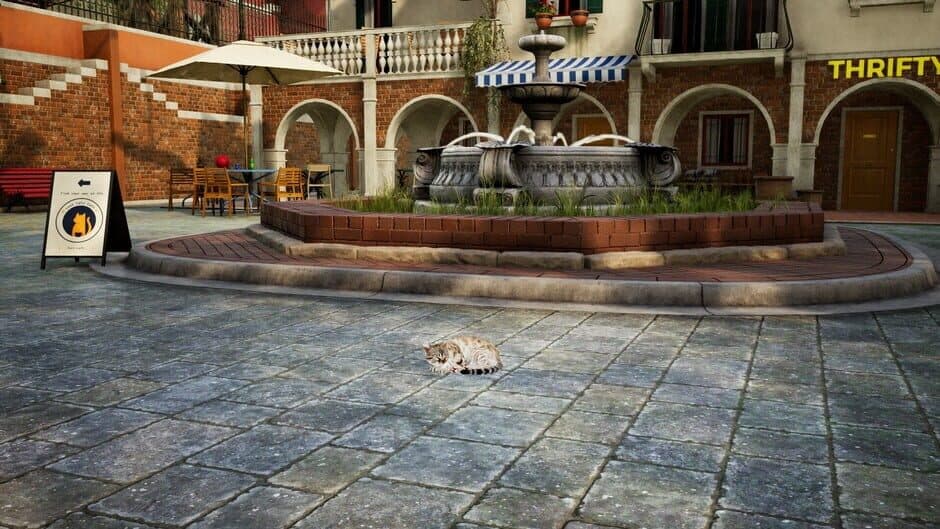 Ekran görüntüsü 4