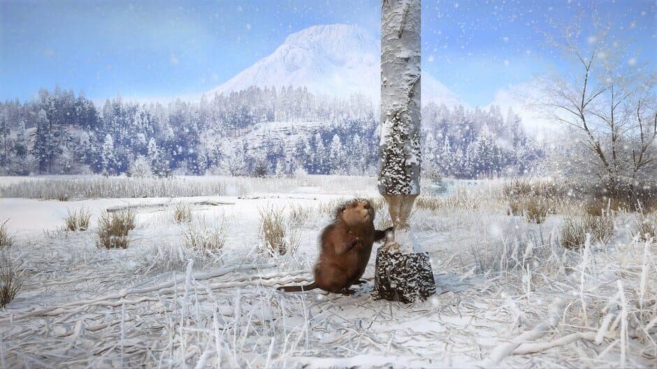 Ekran görüntüsü 4