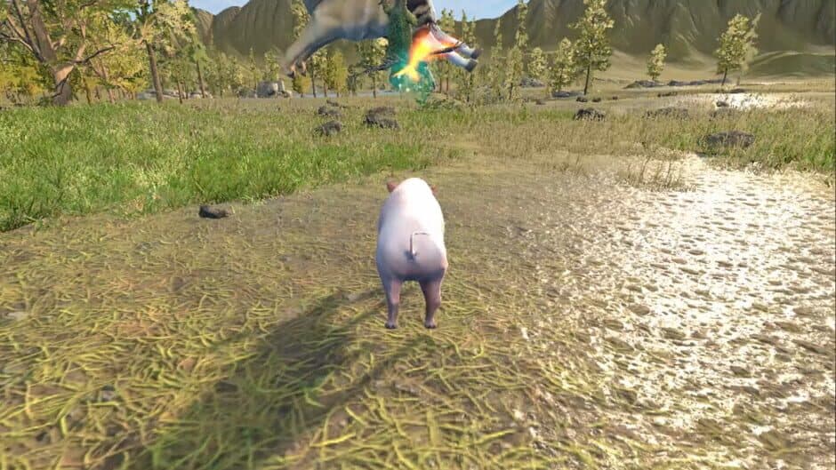 Ekran görüntüsü 4