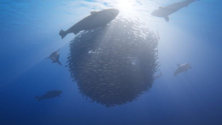 Ekran görüntüsü 5