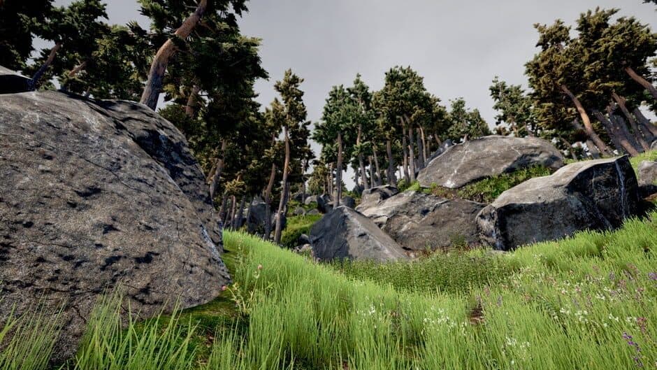 Ekran görüntüsü 5