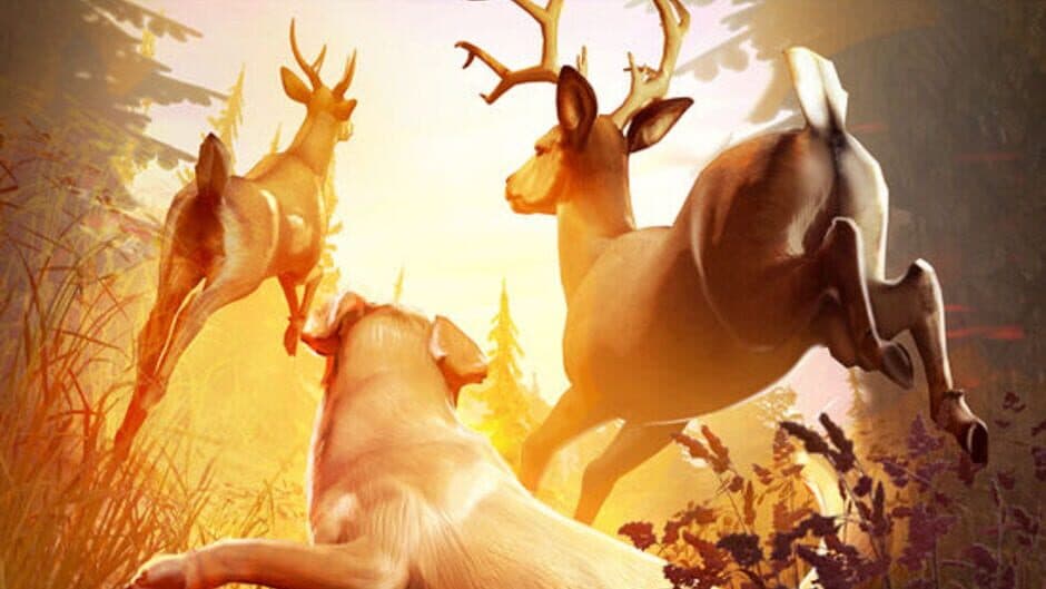 Ekran görüntüsü 5