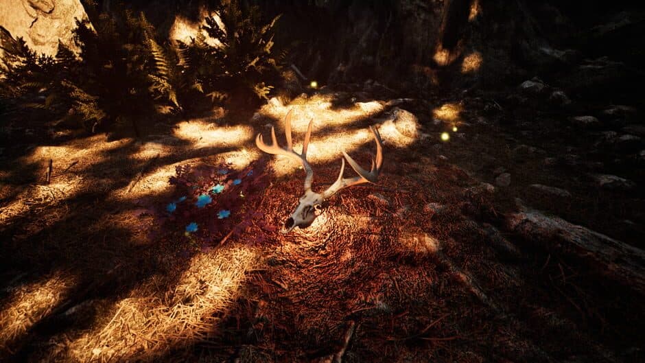 Ekran görüntüsü 4