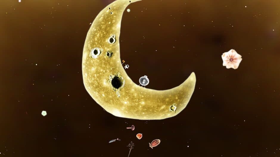 Ekran görüntüsü 3