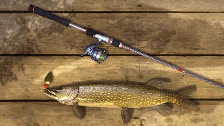 Ekran görüntüsü 5