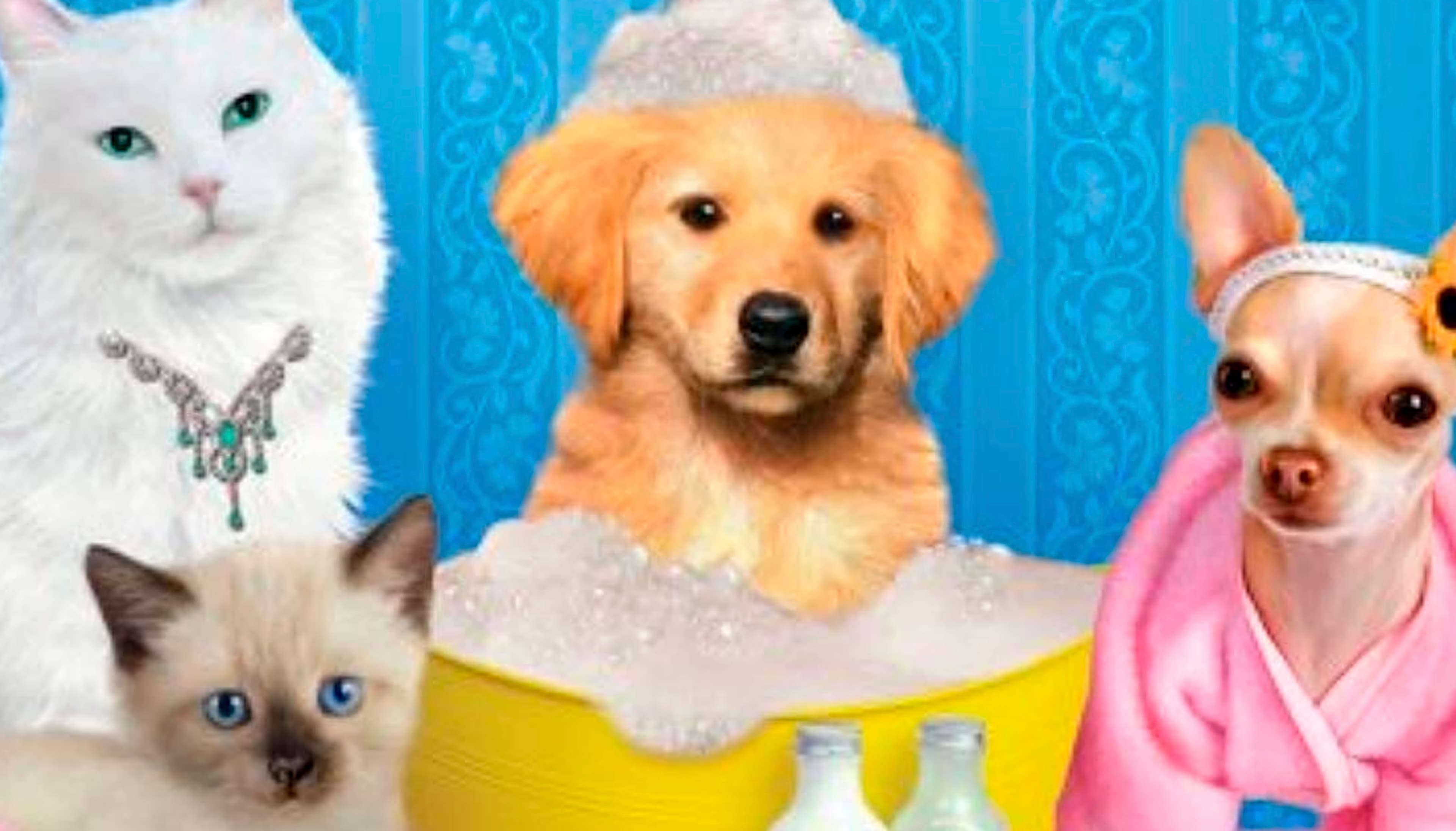 Paws & Claws: Pampered Pets