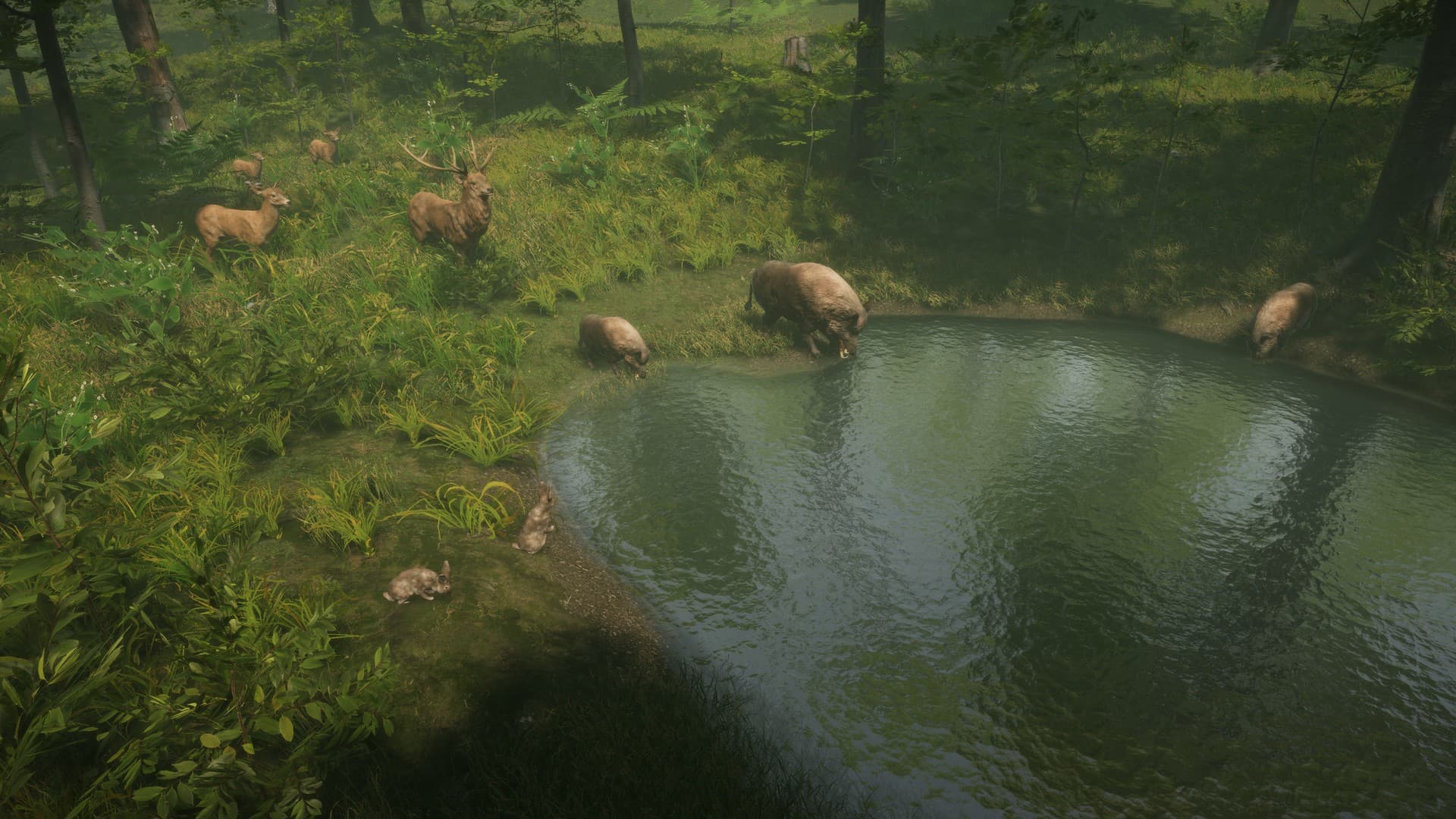 Natural Instincts