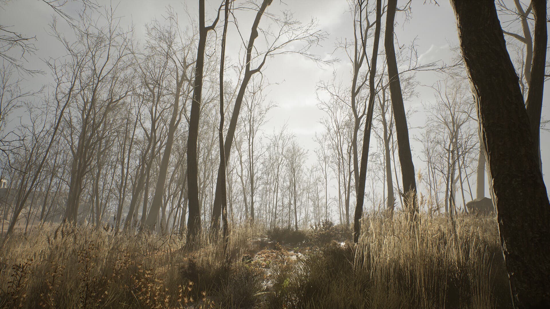 Ekran görüntüsü 3