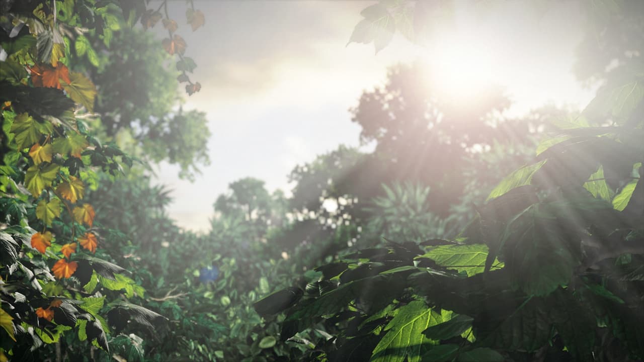 Ekran görüntüsü 2