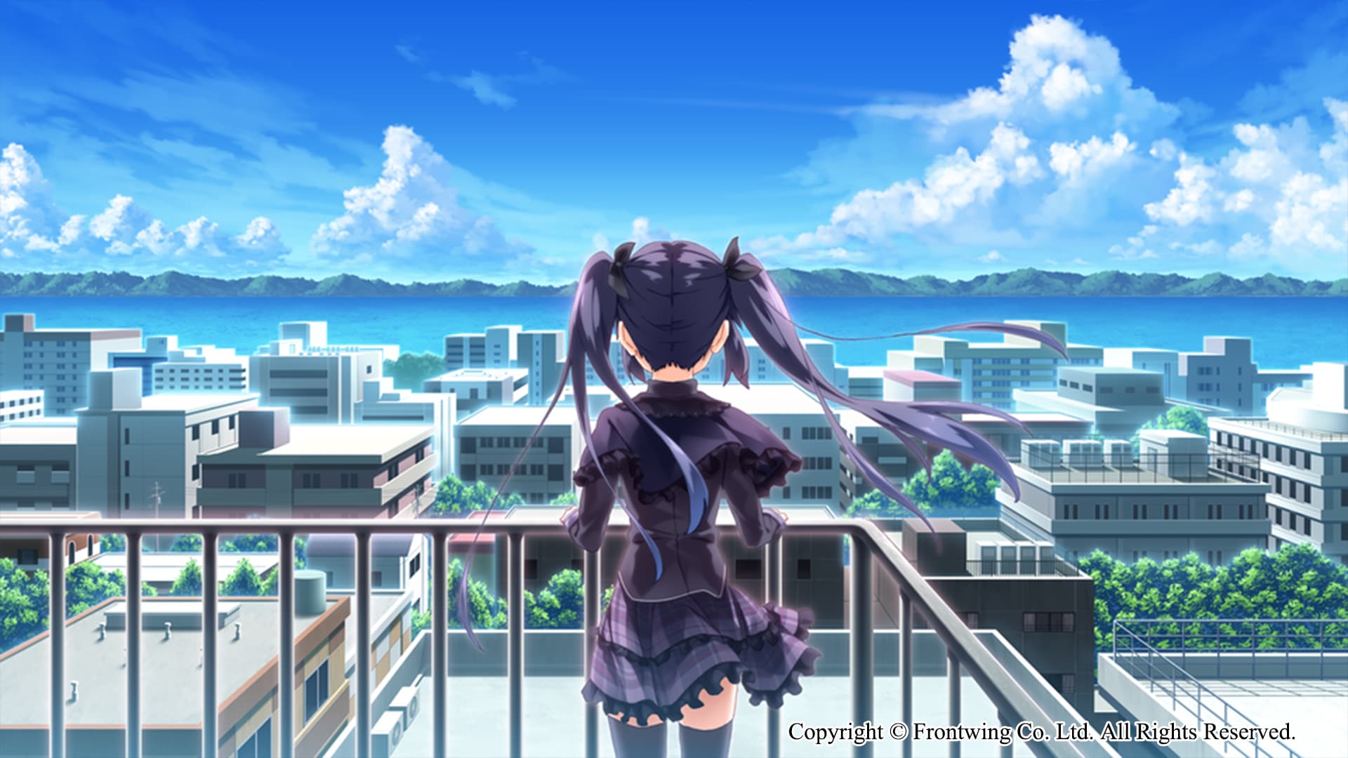 Himawari - The Sunflower