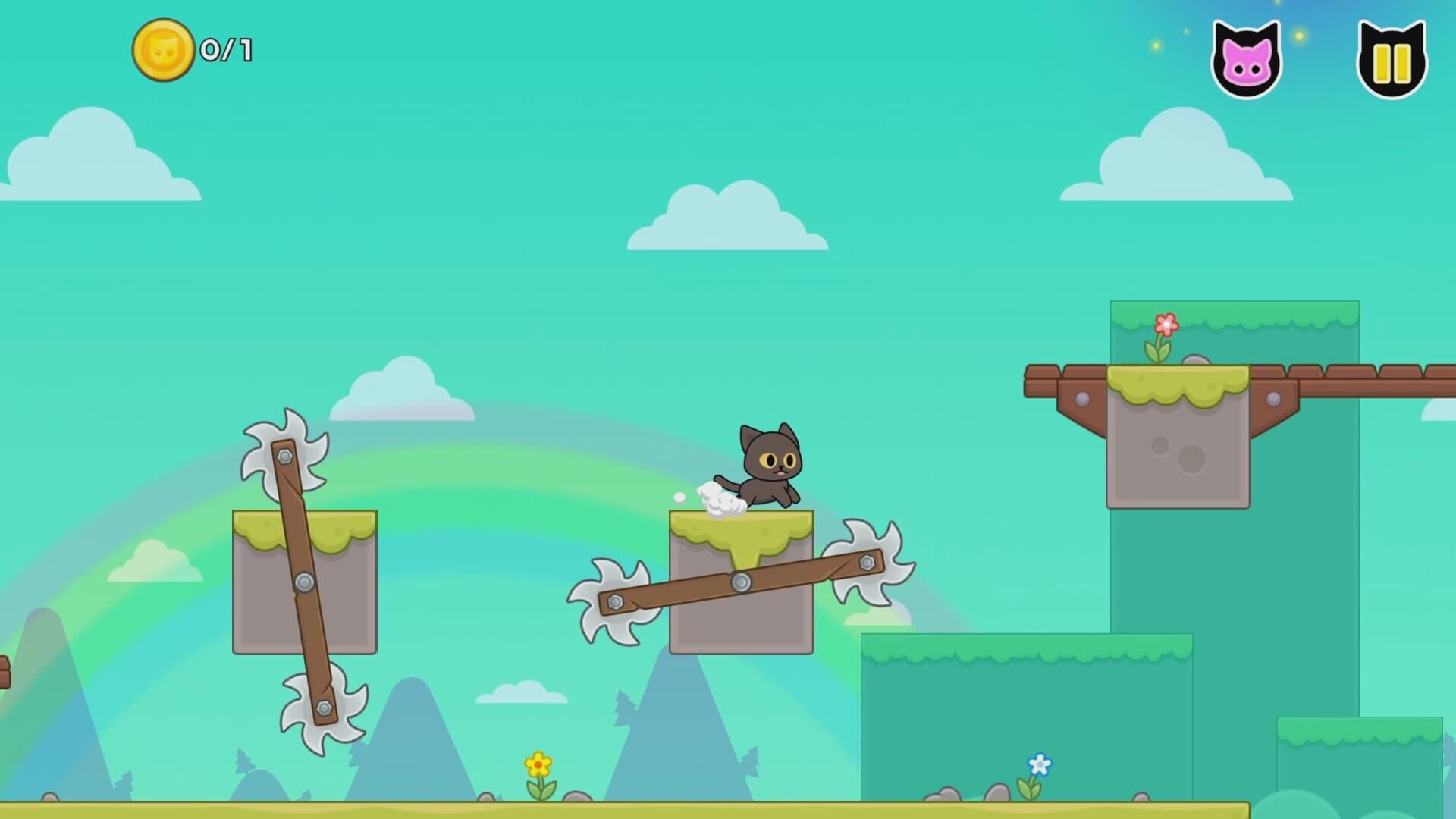 Kitty Loves Birds cover art