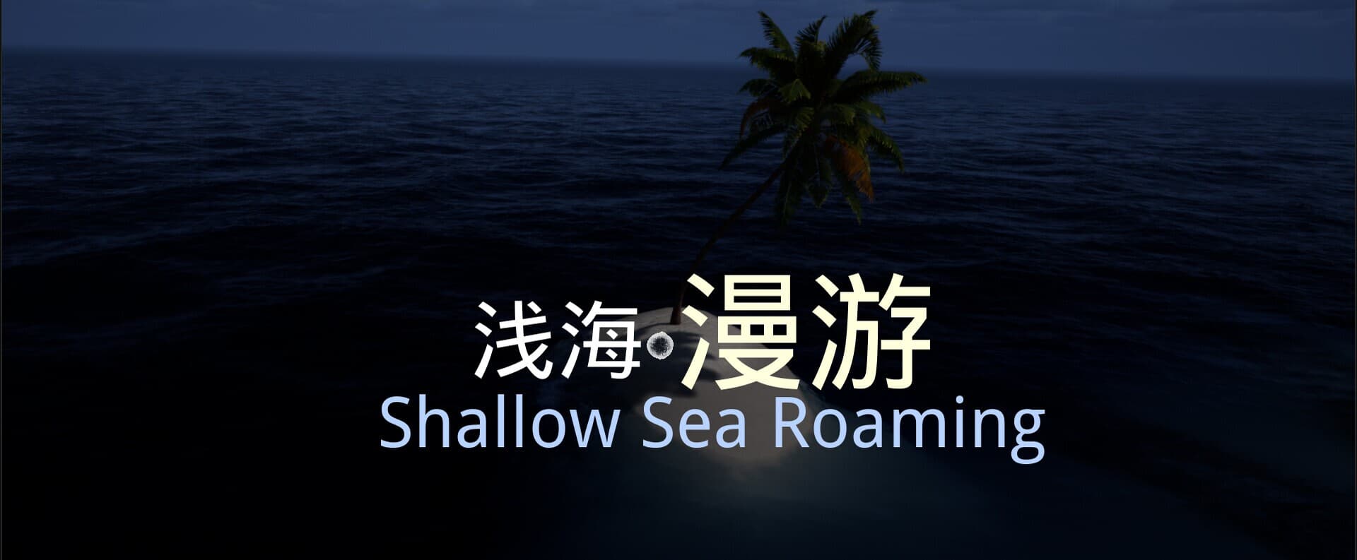 Shallow Sea Roaming cover art