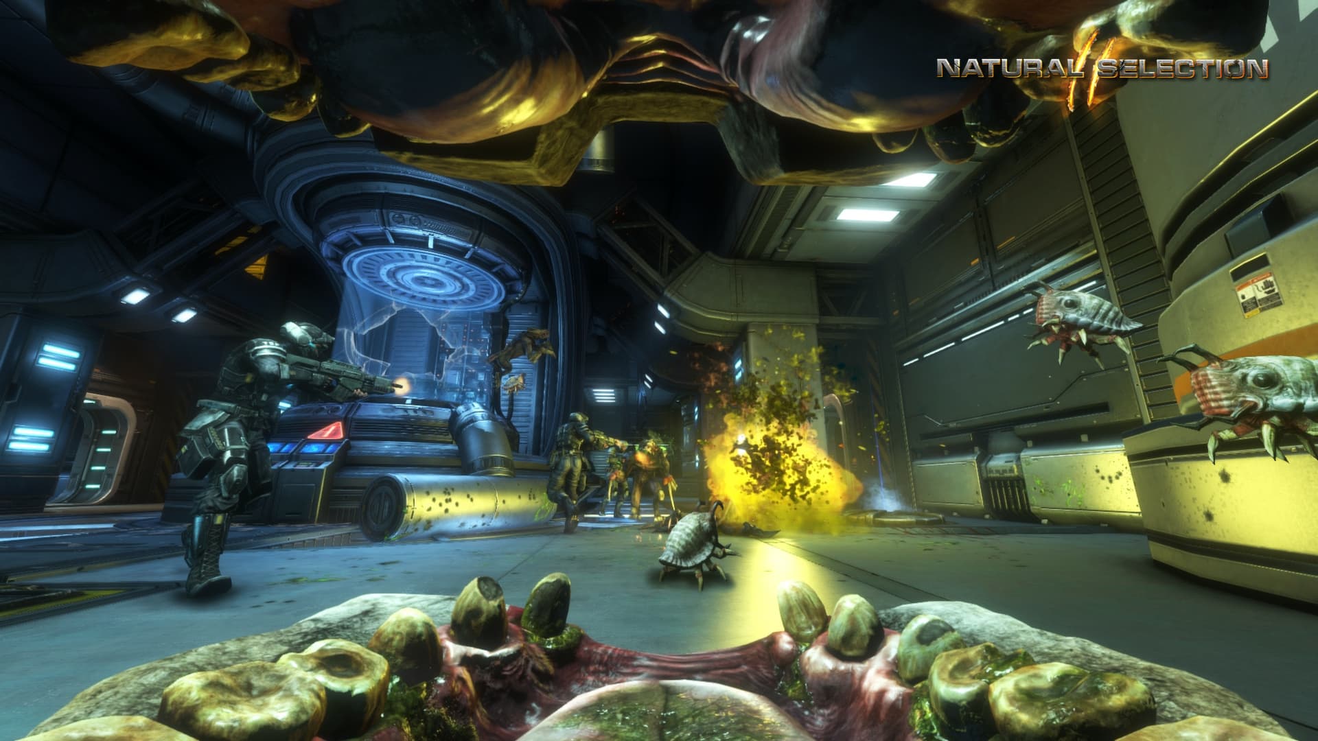 Ekran görüntüsü 4