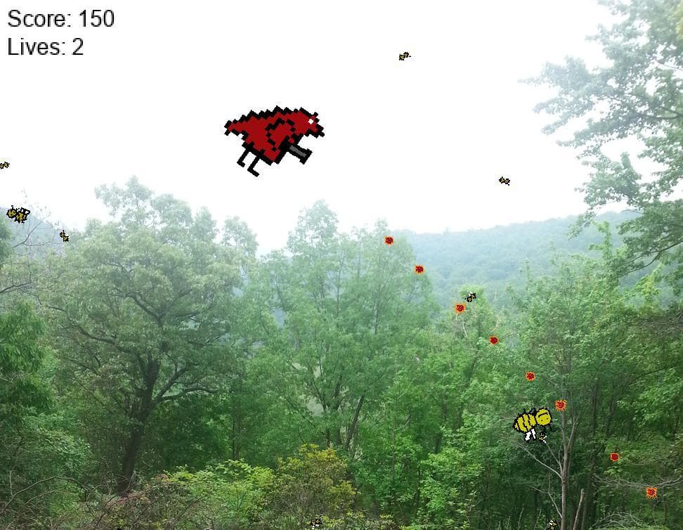 Birb and the Bees
