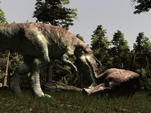 Ekran görüntüsü 5