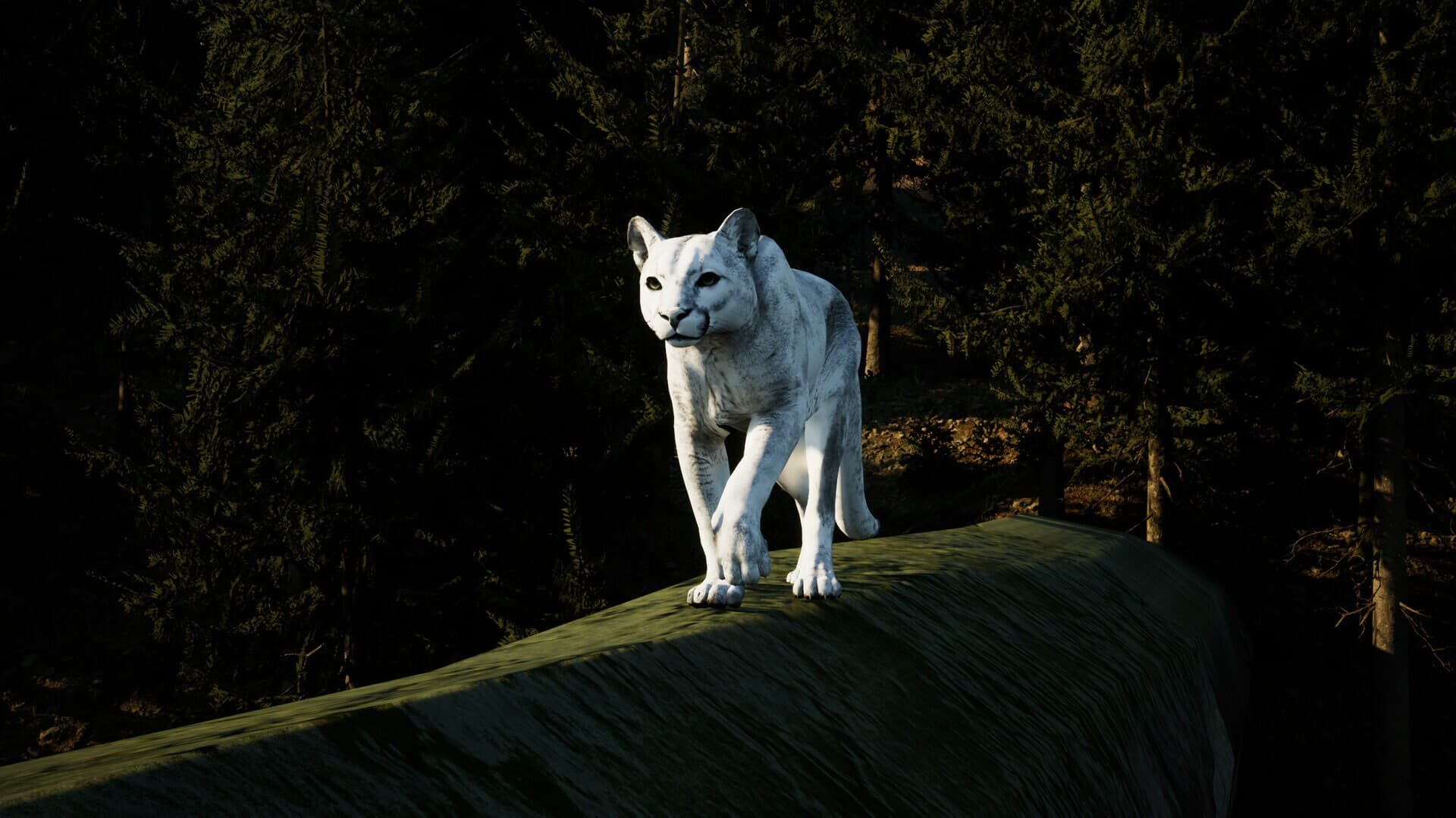 Ekran görüntüsü 1