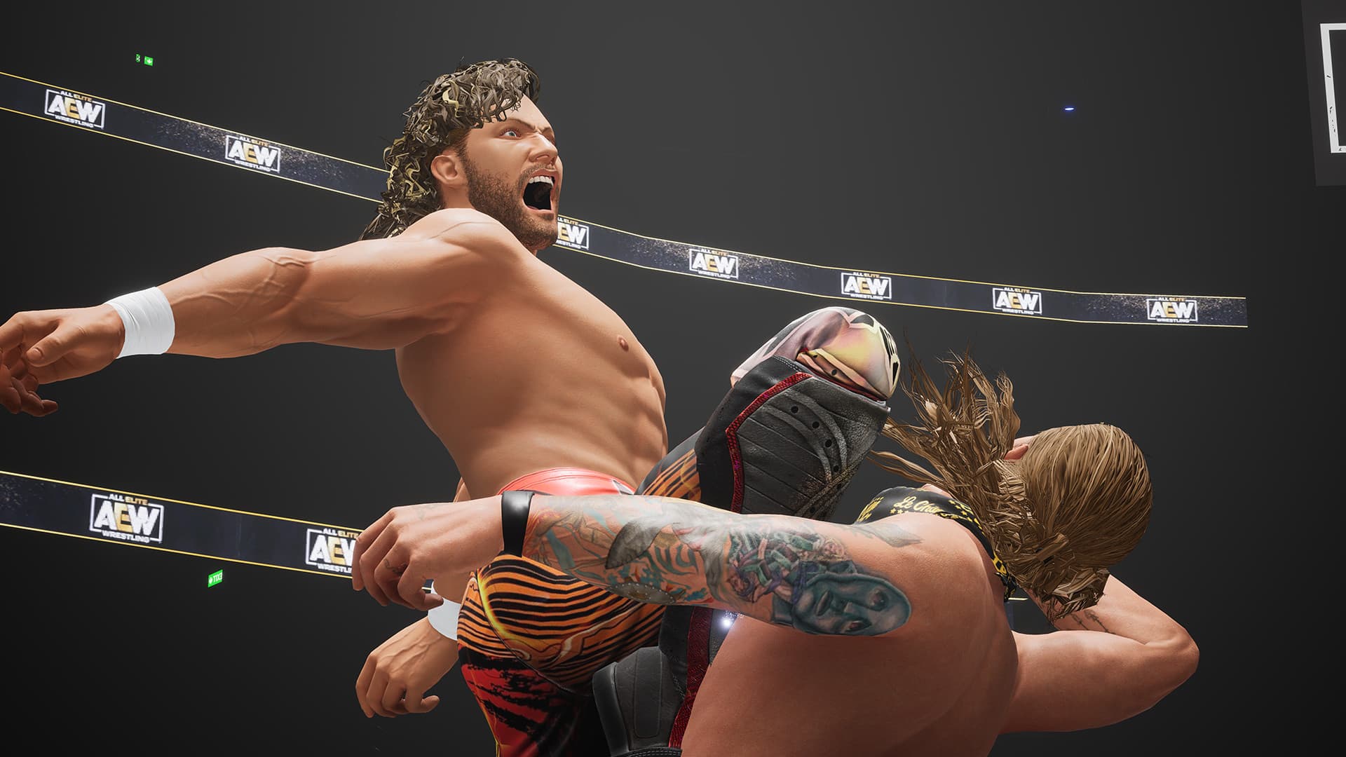 AEW: Fight Forever cover art