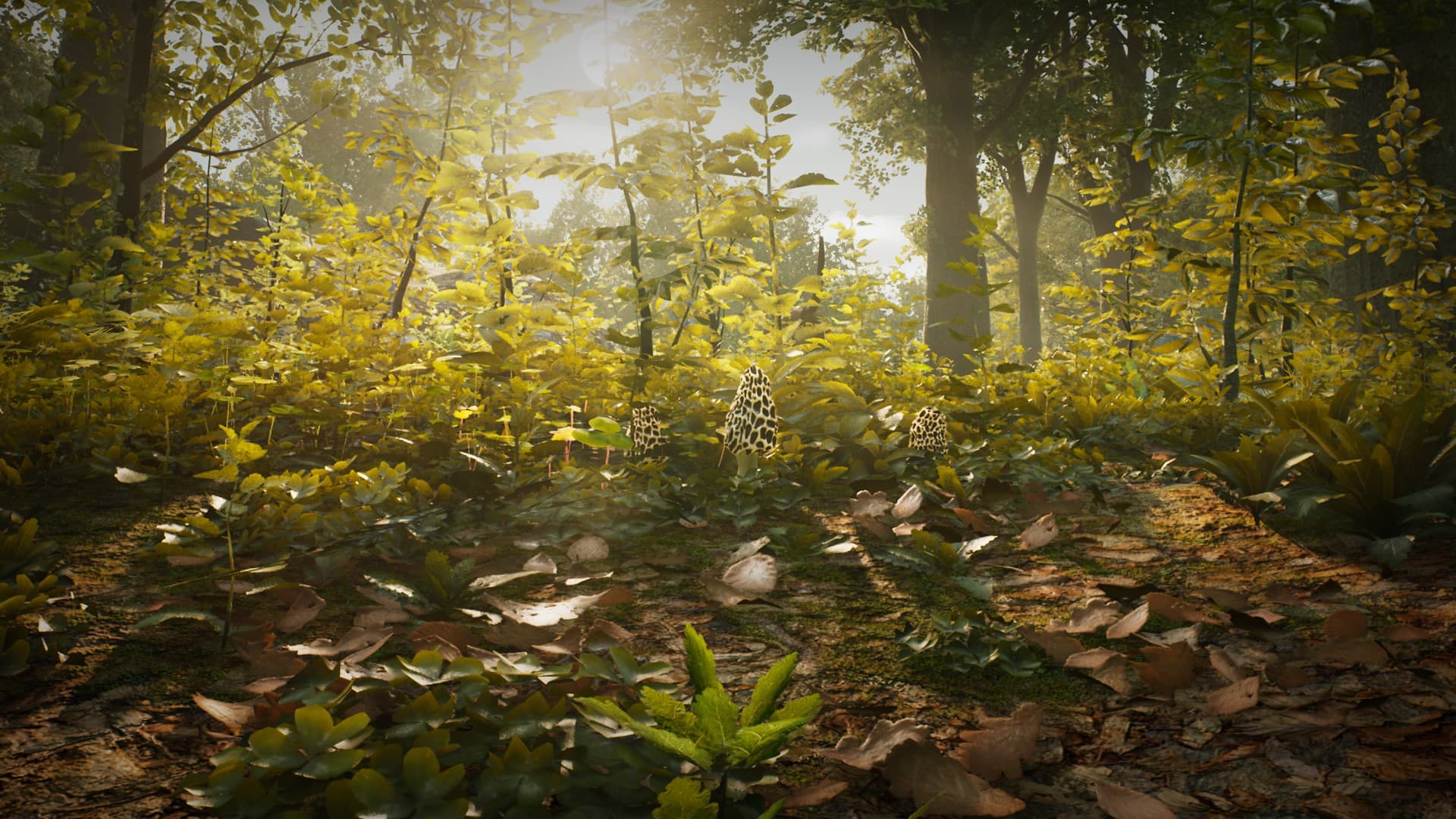 Ekran görüntüsü 6