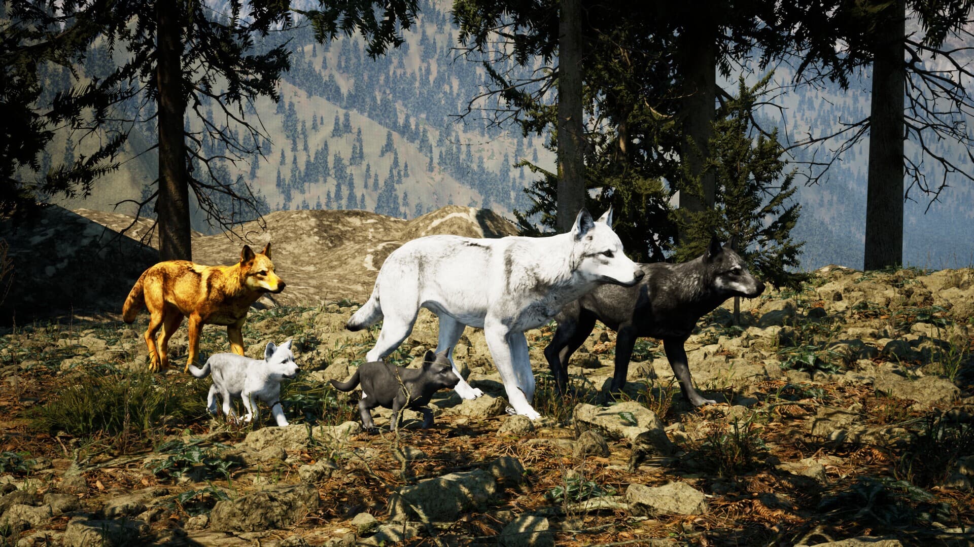 Ekran görüntüsü 3