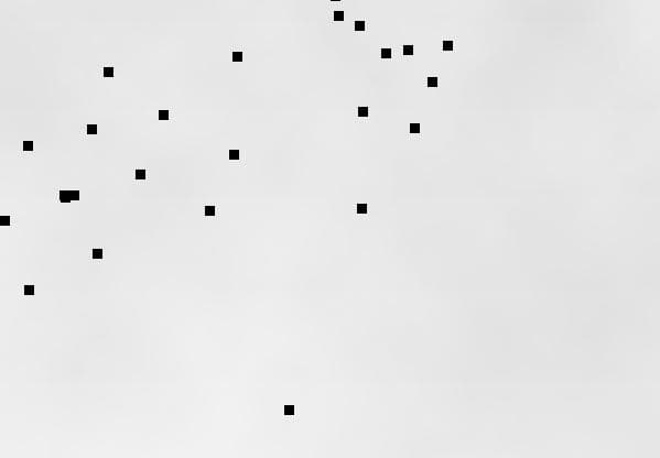 Ekran görüntüsü 4