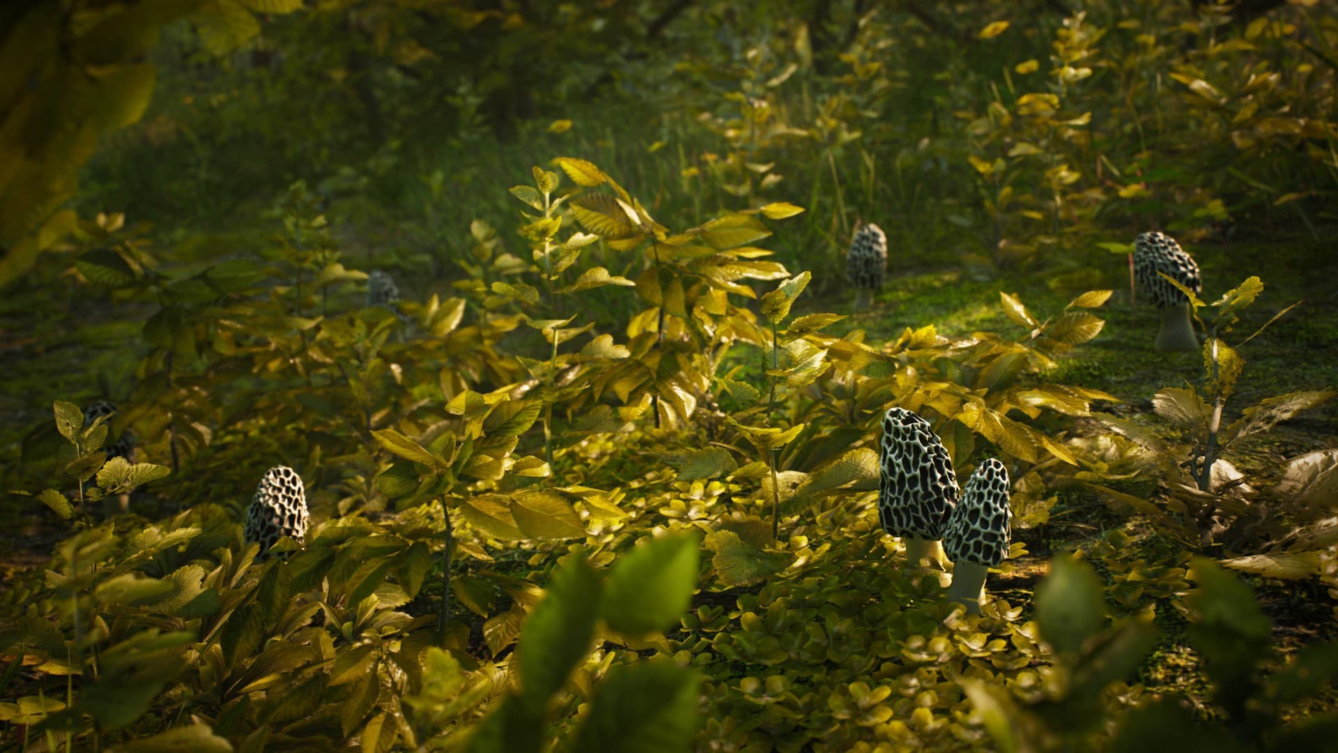 Ekran görüntüsü 3