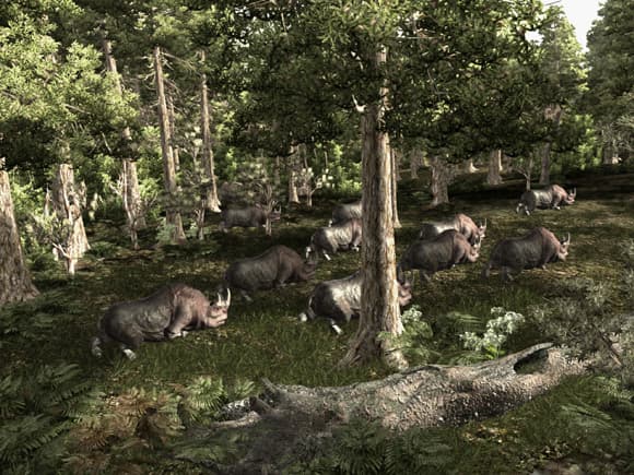 Ekran görüntüsü 3