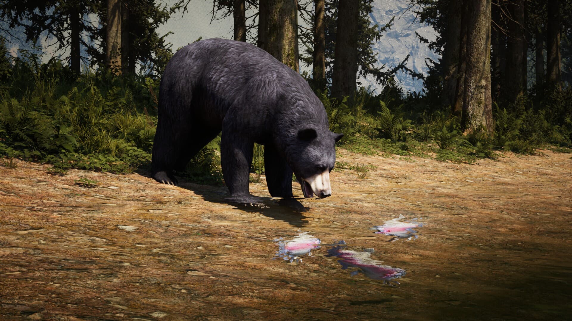 Ekran görüntüsü 6