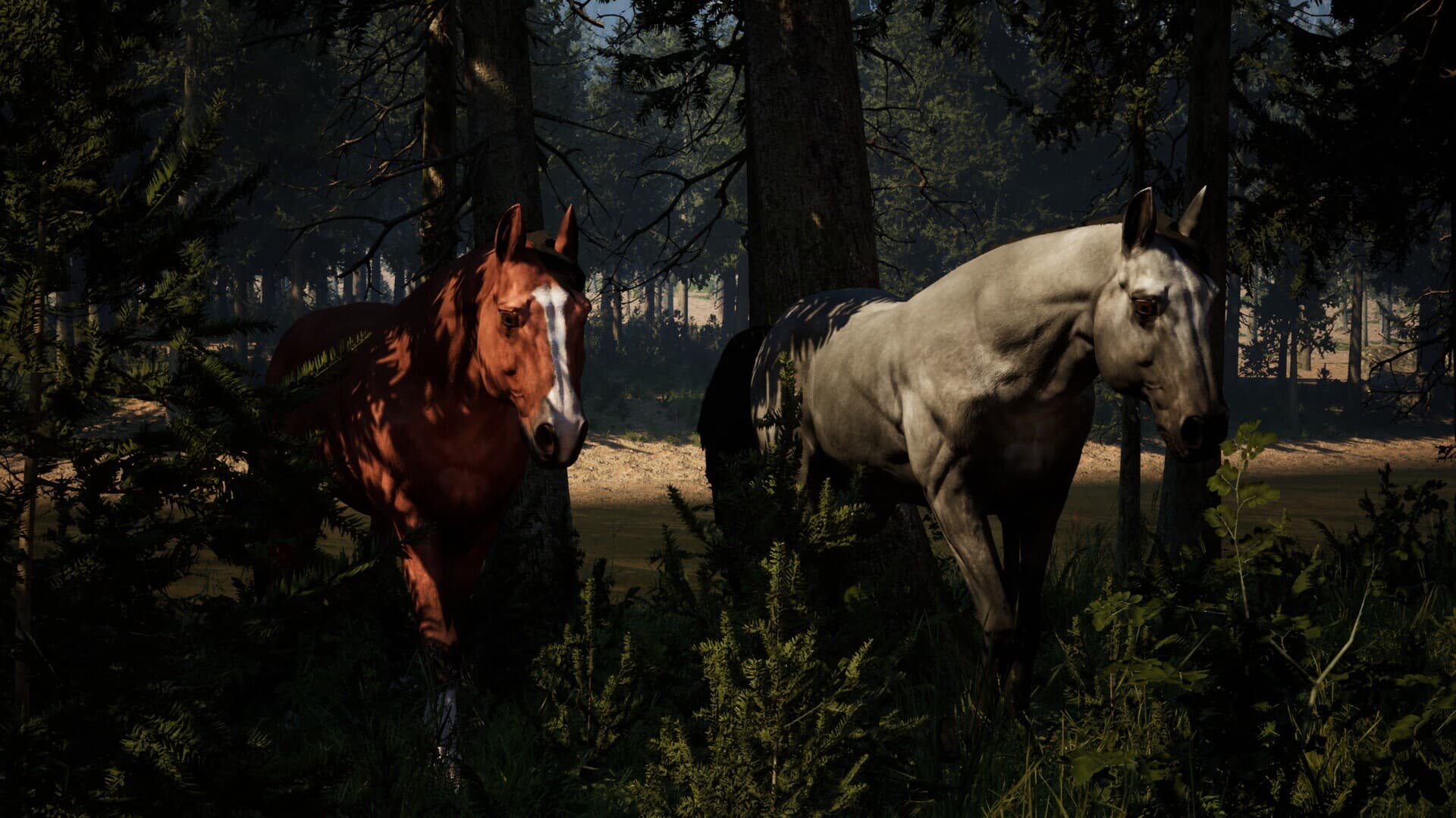 Ekran görüntüsü 4