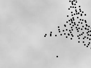 Ekran görüntüsü 1