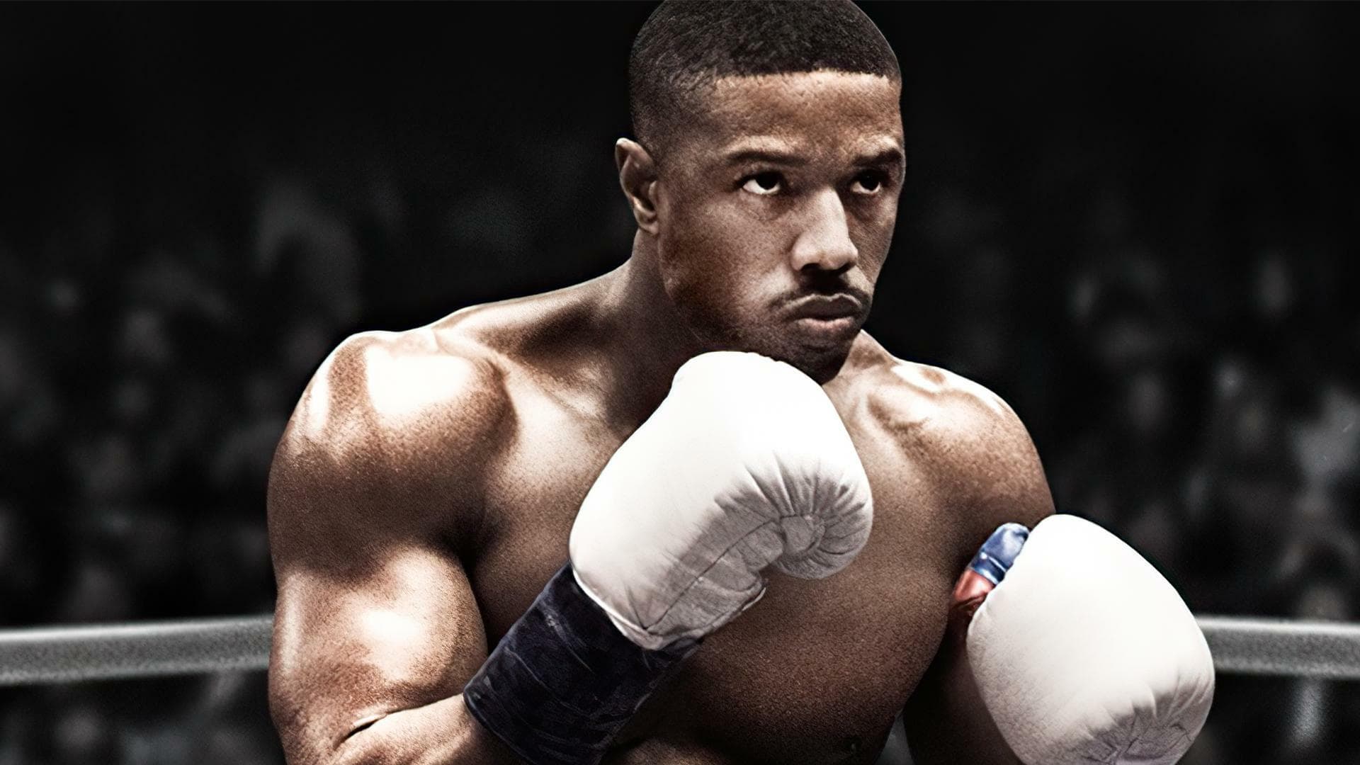 Creed: Rise to Glory cover art